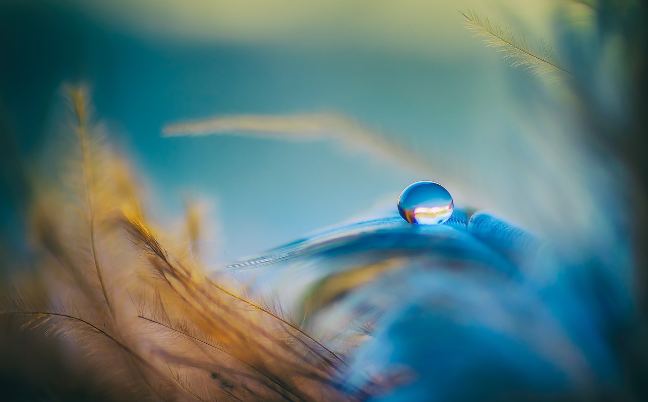 a droplet of water