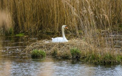 When the kids leave home: 5 ways to navigate an empty nest